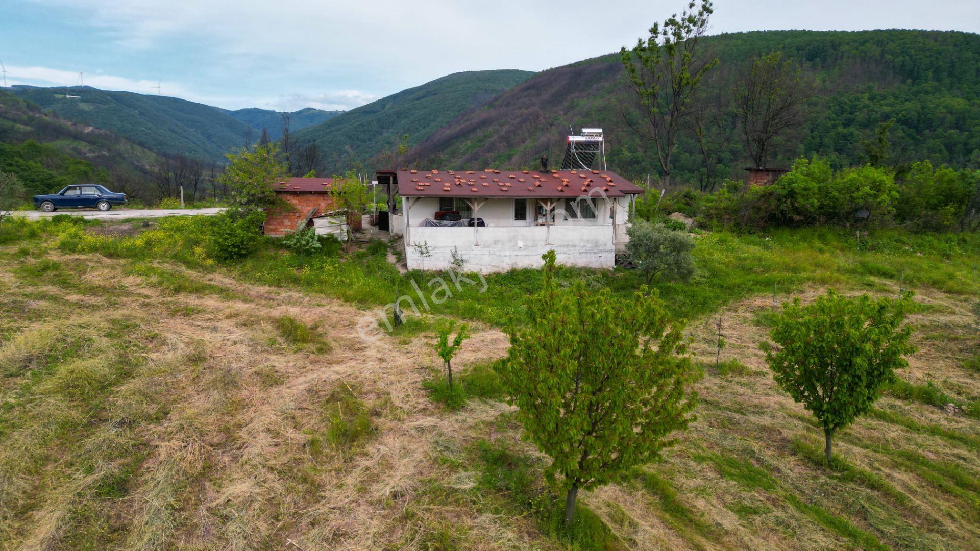 Karamürsel Suludere 4085 M2 Bahçe İçinde Satılık Müstakil Ev - Görsel 10