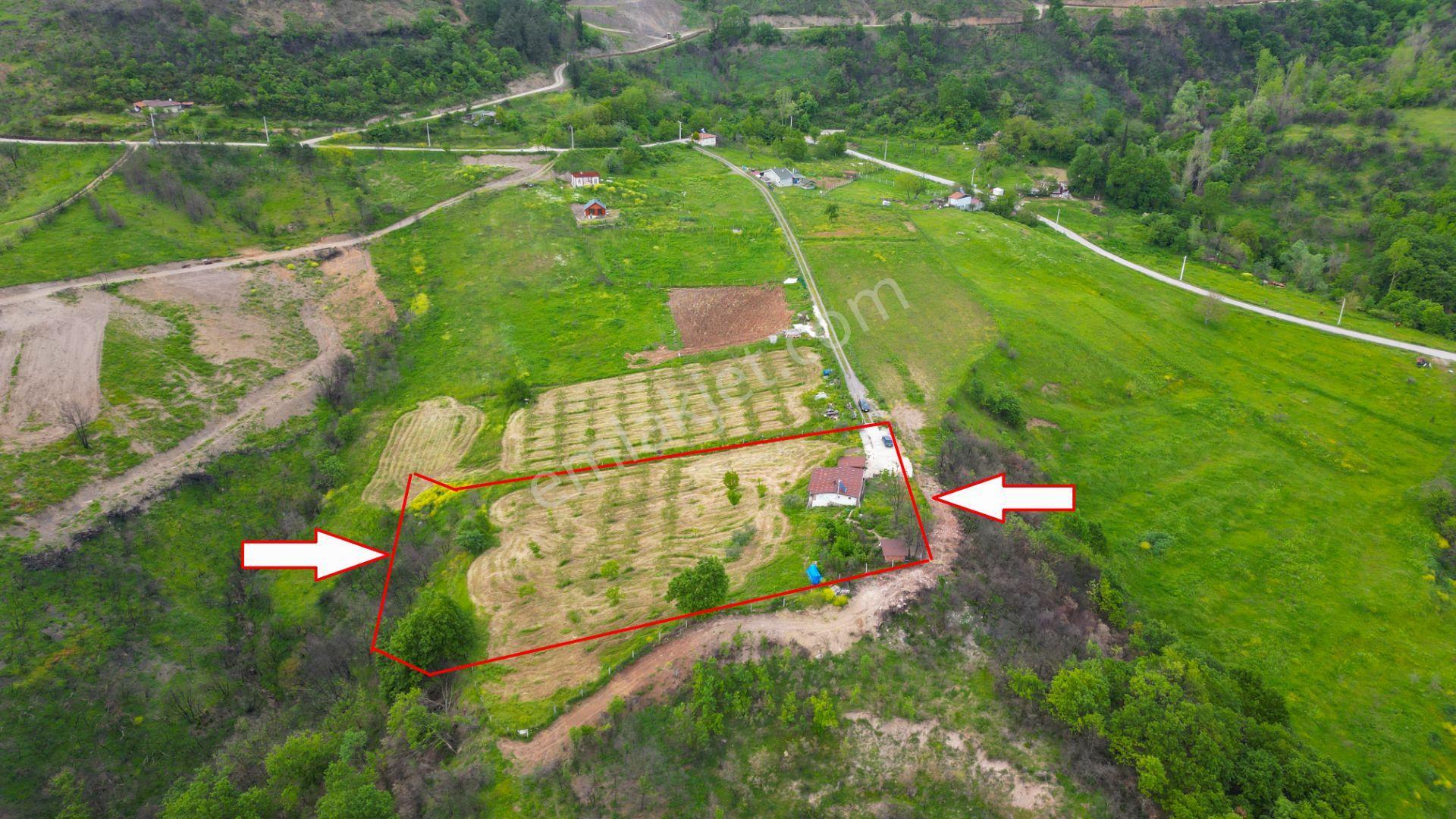 Karamürsel Suludere 4085 M2 Bahçe İçinde Satılık Müstakil Ev