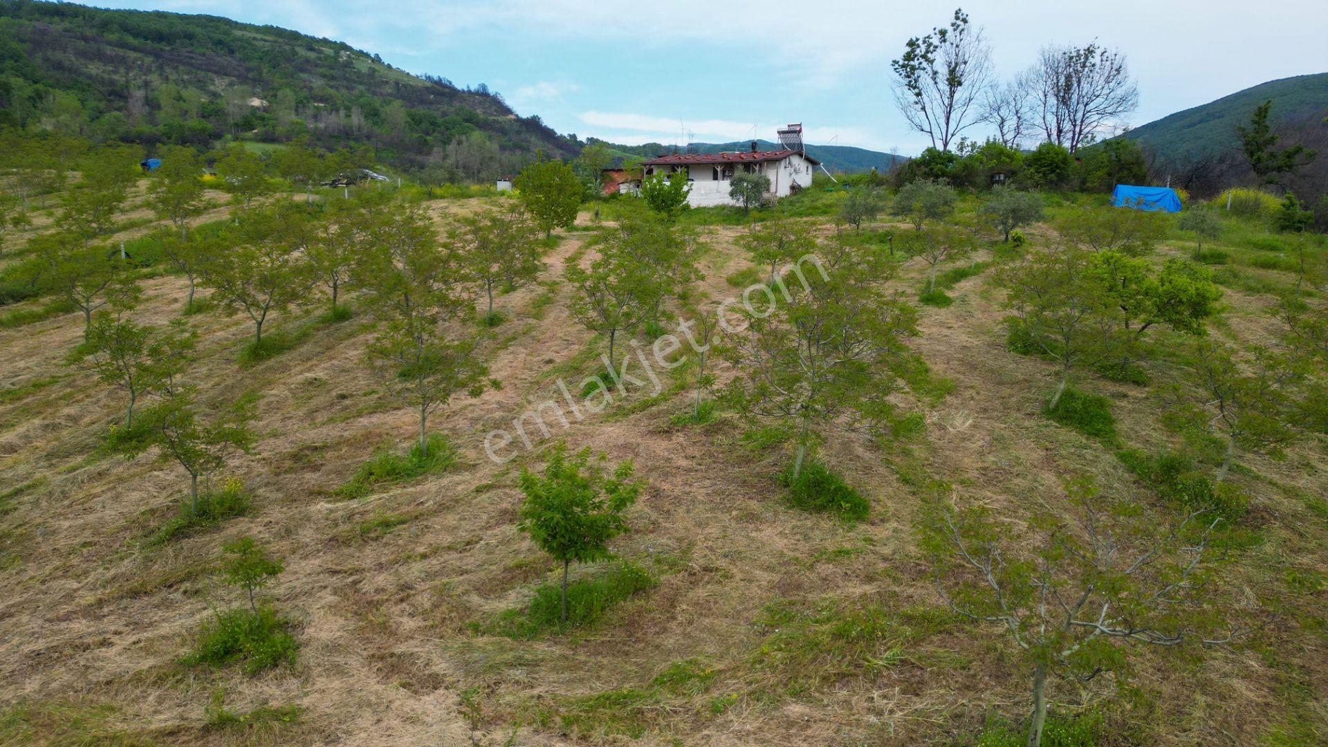 Karamürsel Suludere 4085 M2 Bahçe İçinde Satılık Müstakil Ev - Görsel 9