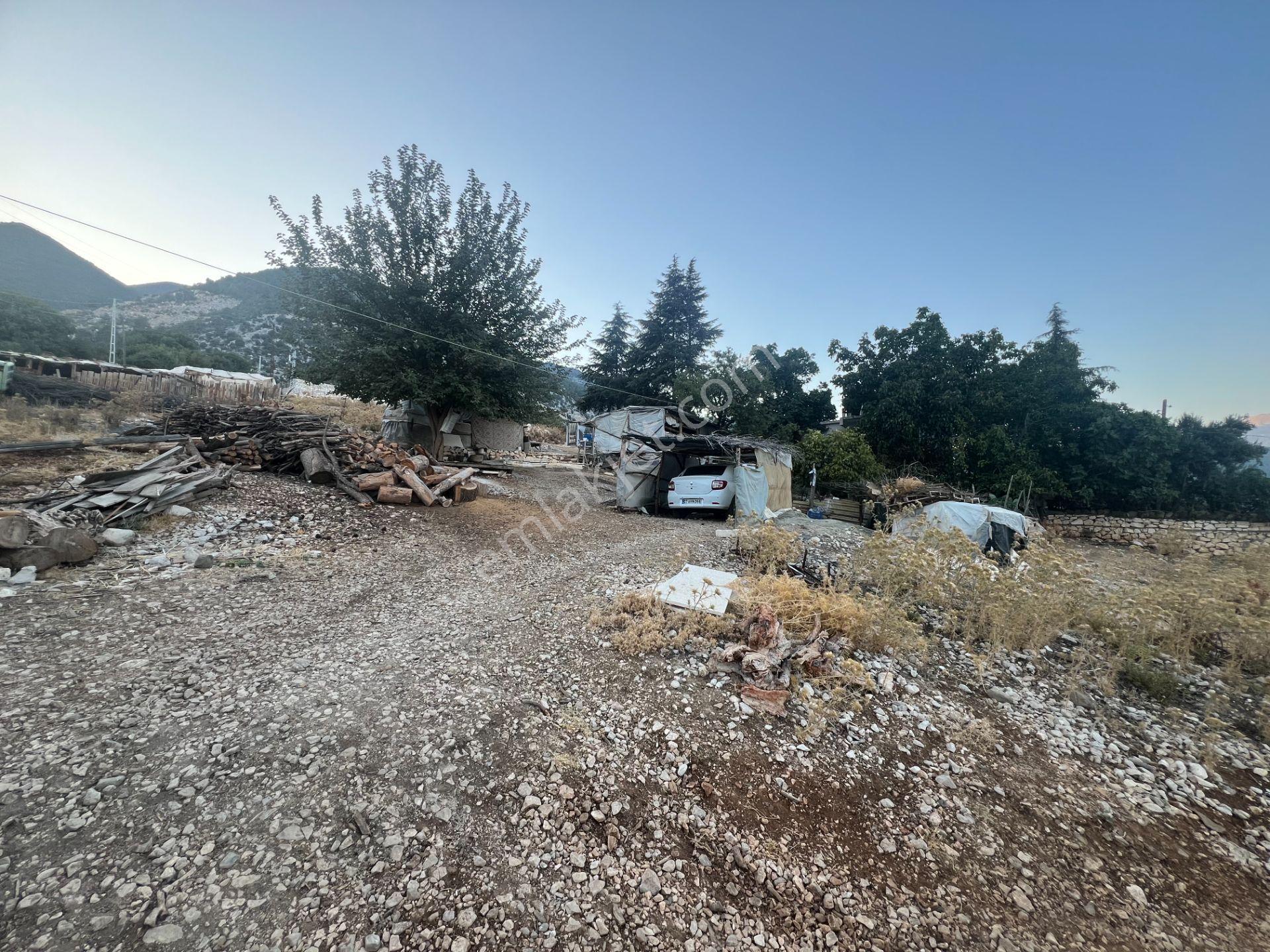 Antalya Finike Alacadağ Mah. 424 M2 Alanlı İmarlı Arsa - Görsel 11