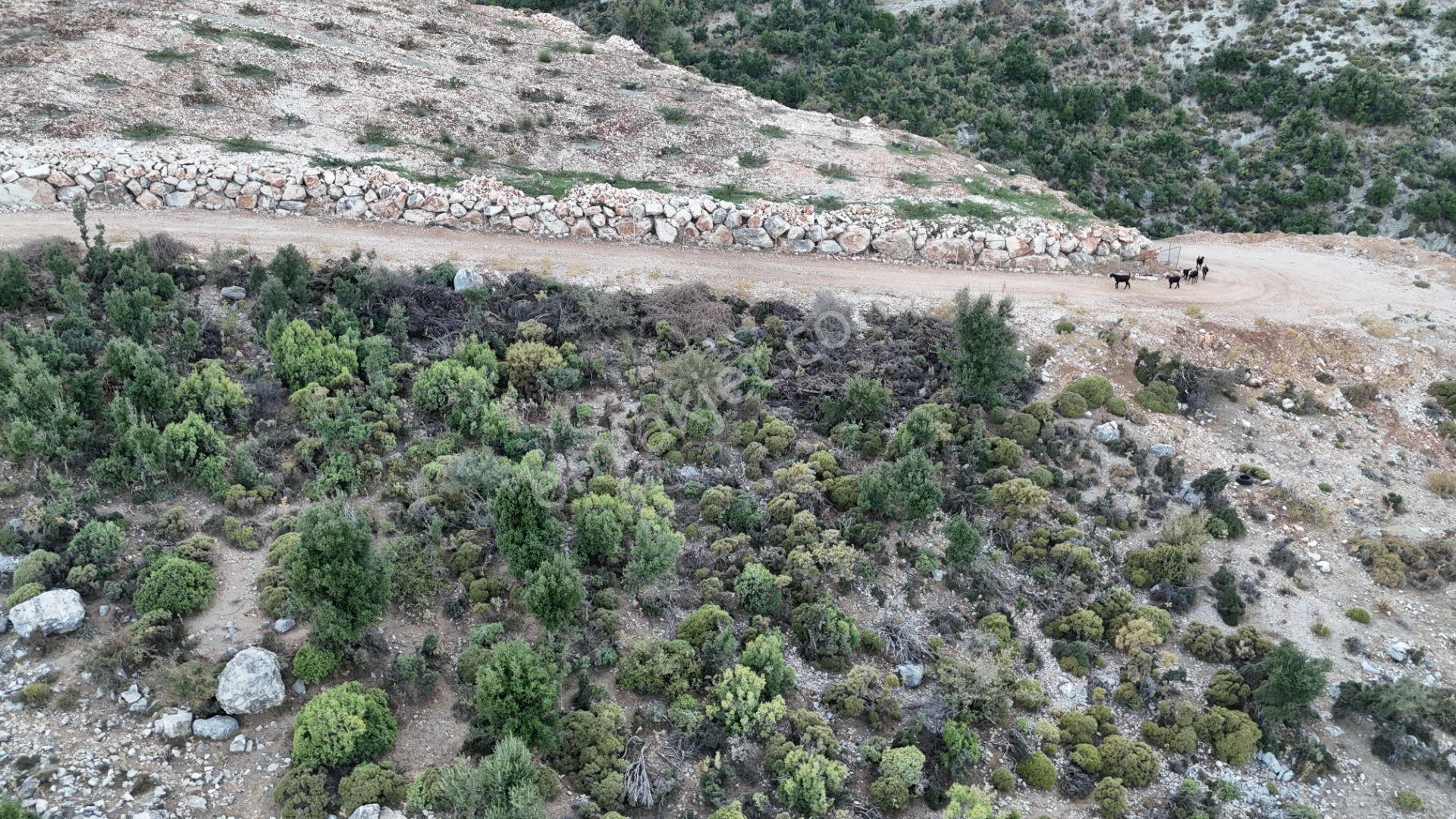 Antalya Finike Alacadağ Mah. 424 M2 Alanlı İmarlı Arsa - Görsel 9
