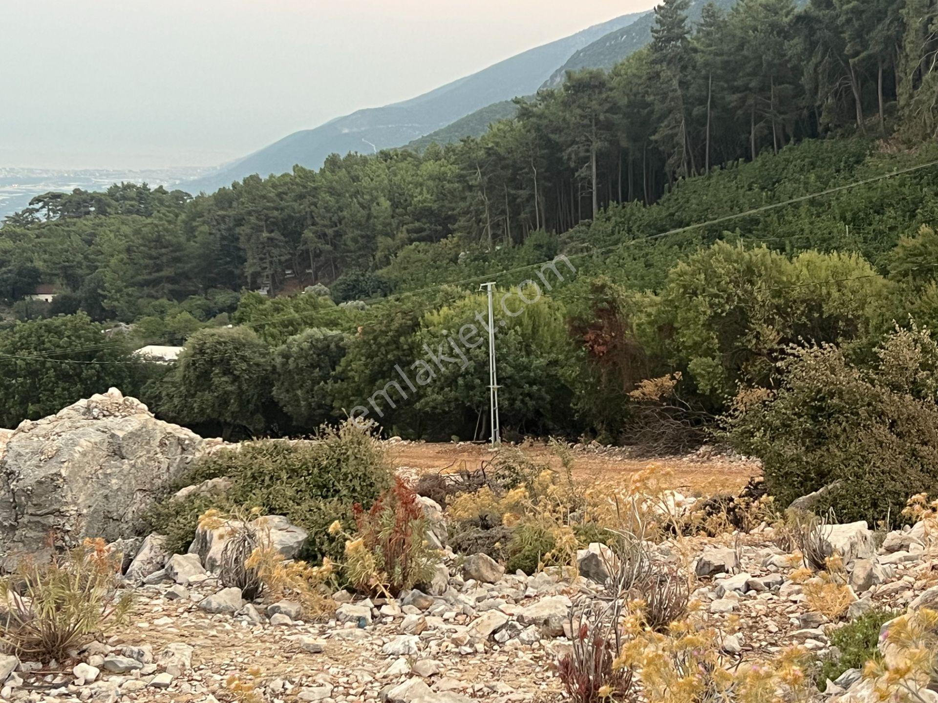 Antalya Finike Alacadağ Mah. 424 M2 Alanlı İmarlı Arsa - Görsel 20