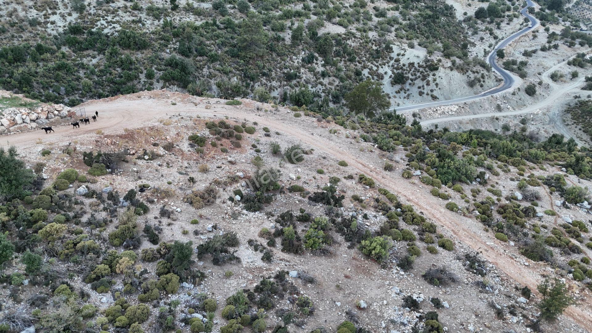 Antalya Finike Alacadağ Mah. 424 M2 Alanlı İmarlı Arsa - Görsel 10