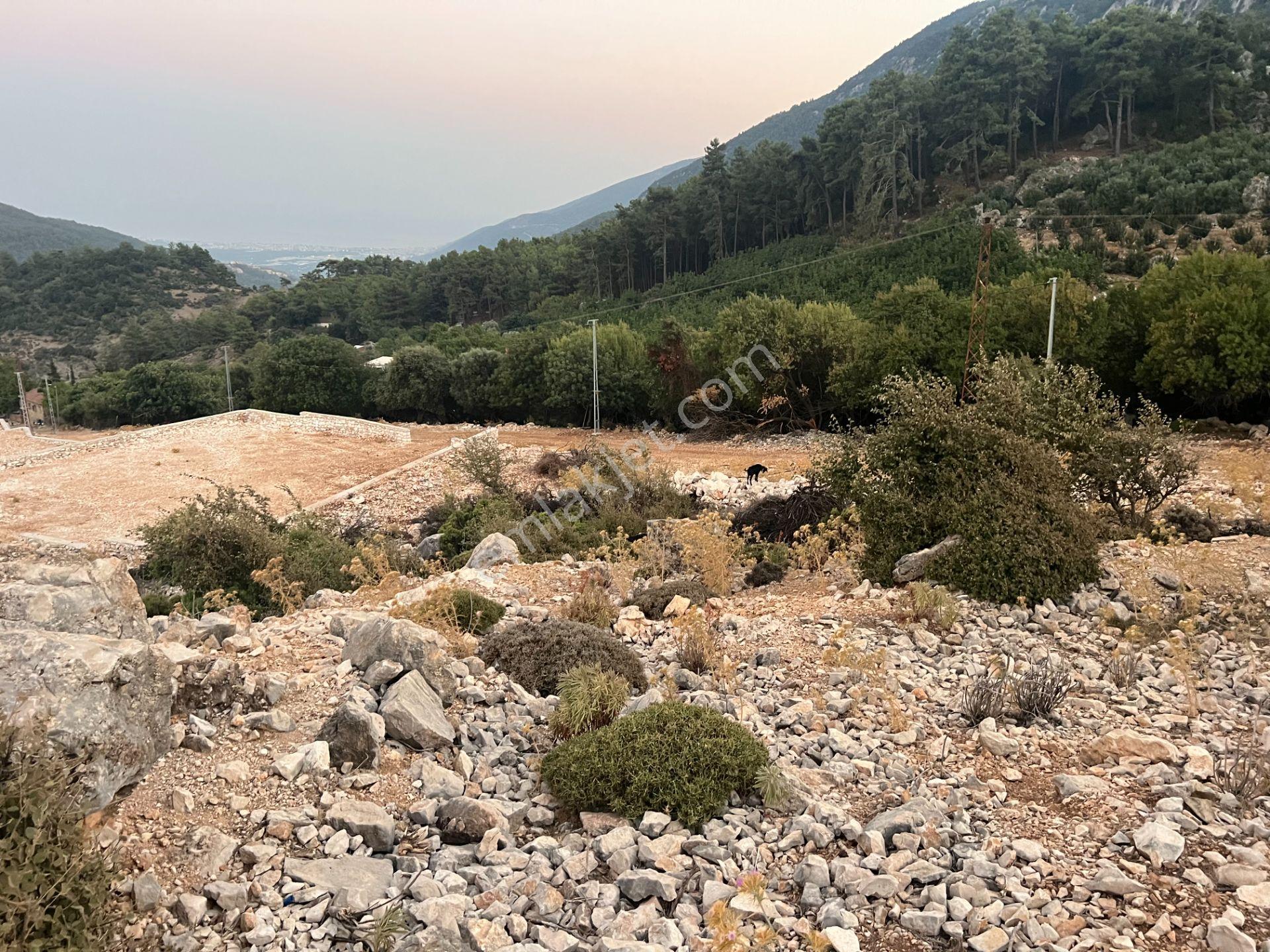 Antalya Finike Alacadağ Mah. 424 M2 Alanlı İmarlı Arsa - Görsel 26