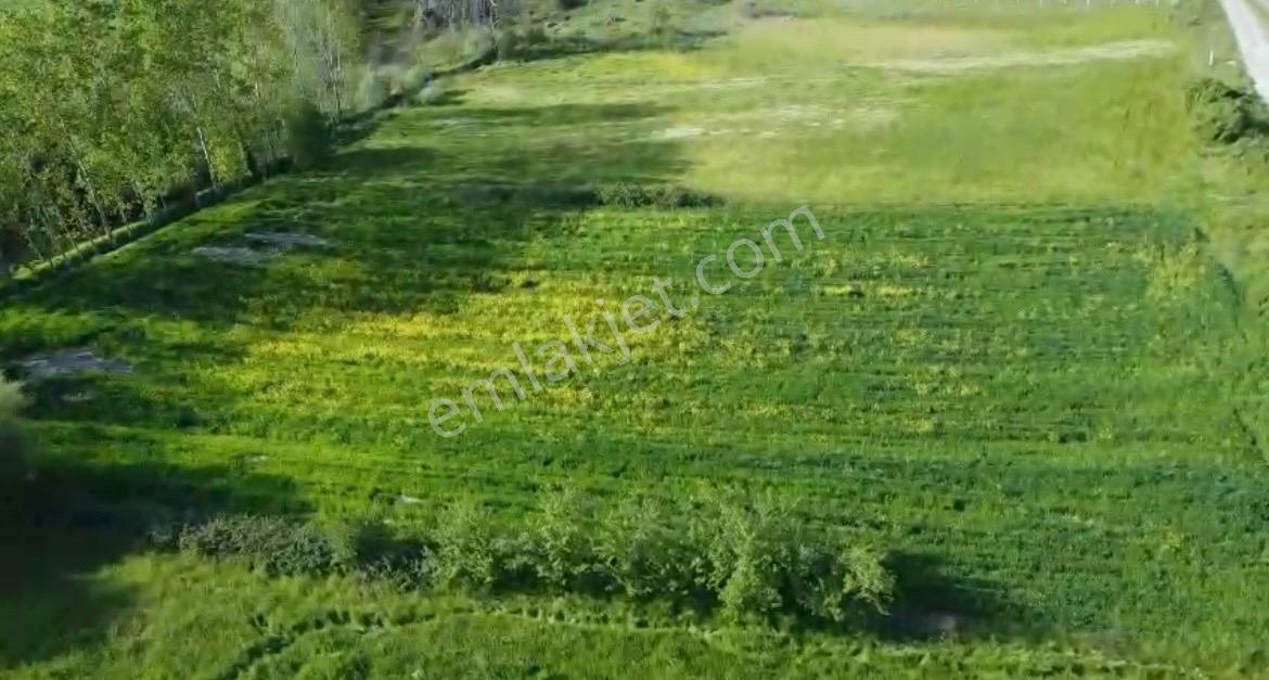Cb King'den Savaştepe/soğucak Mahallesi 4252 M² Satılık Tarla - Görsel 6