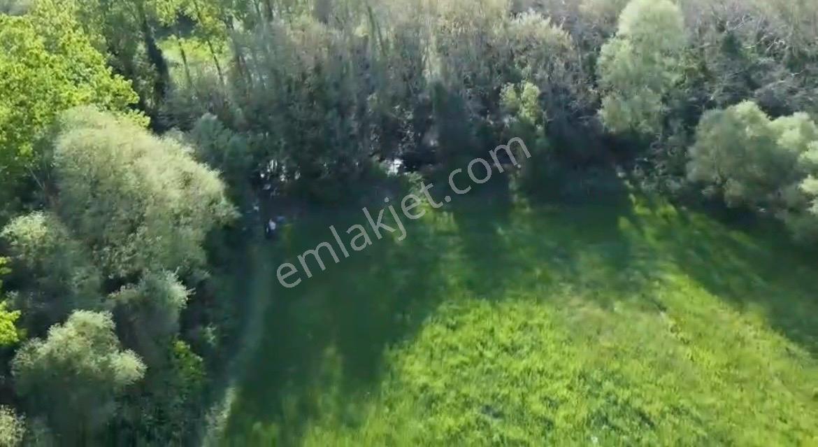 Cb King'den Savaştepe/soğucak Mahallesi 4252 M² Satılık Tarla - Görsel 4