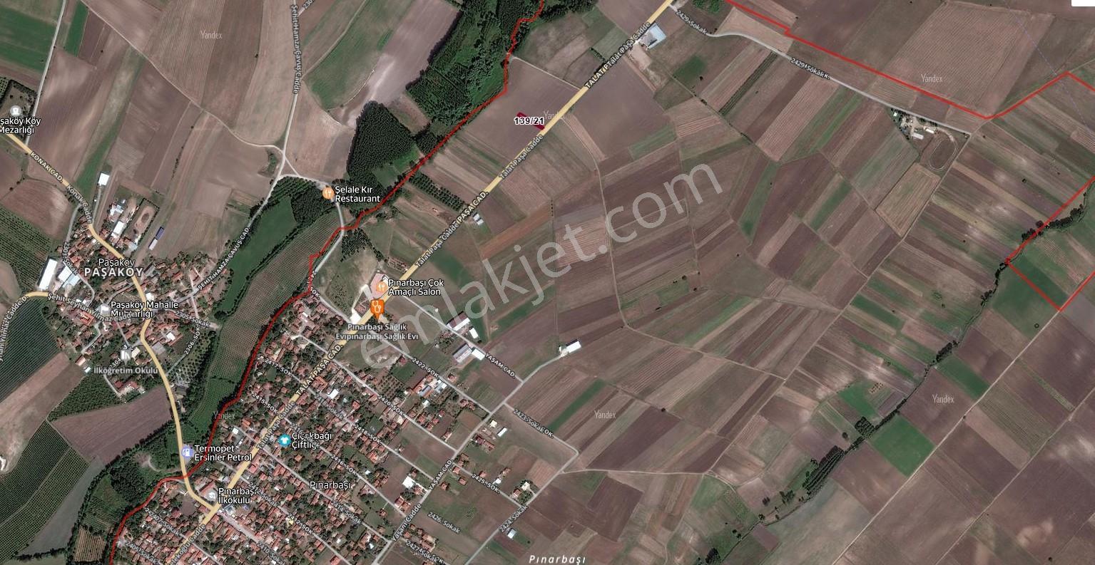 Ergene Pınarbaşı Mah. Asfalt Cephe 400m2 Satılık Elma Bahçesi - Görsel 7