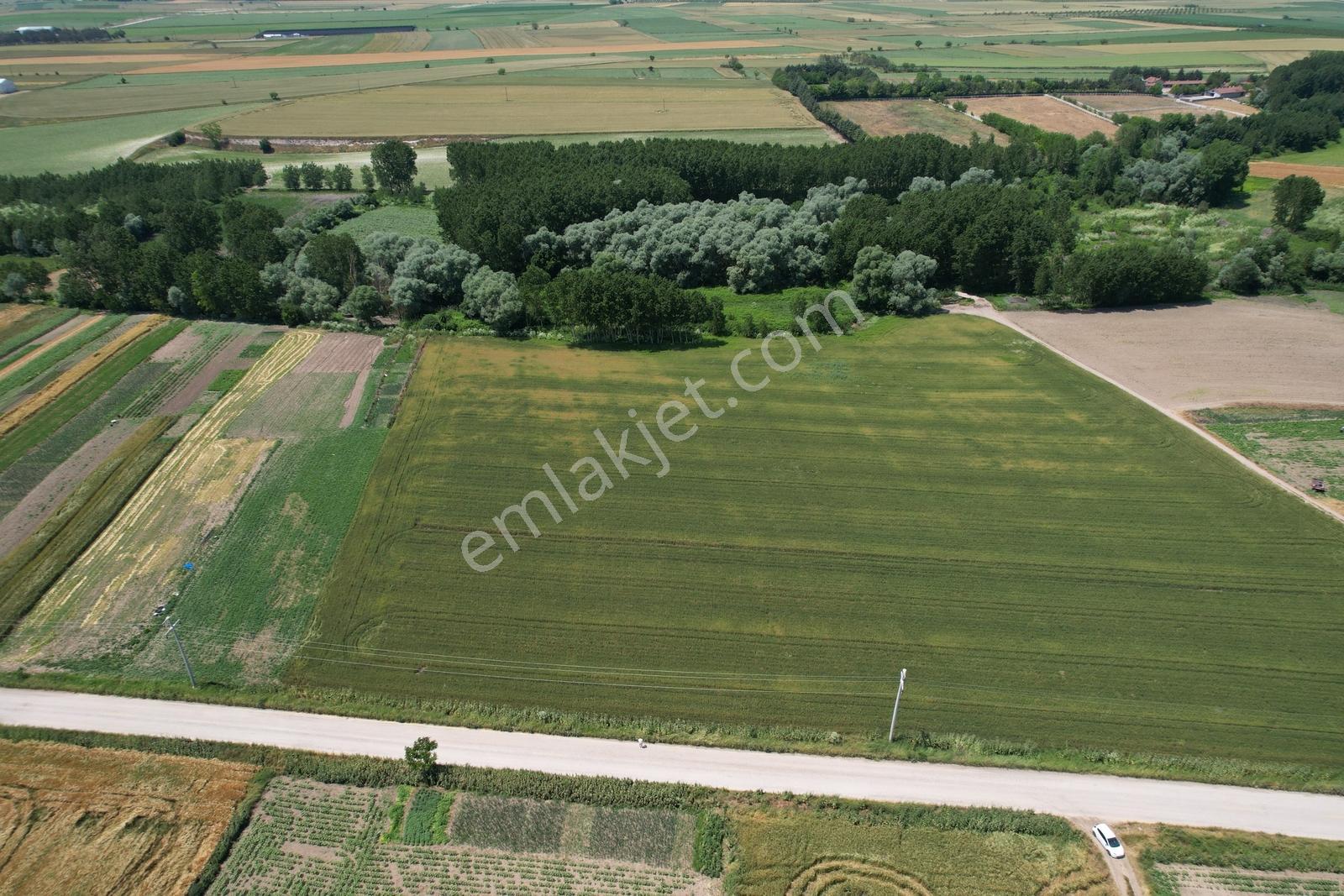 Ergene Pınarbaşı Mah. Asfalt Cephe 400m2 Satılık Elma Bahçesi - Görsel 3