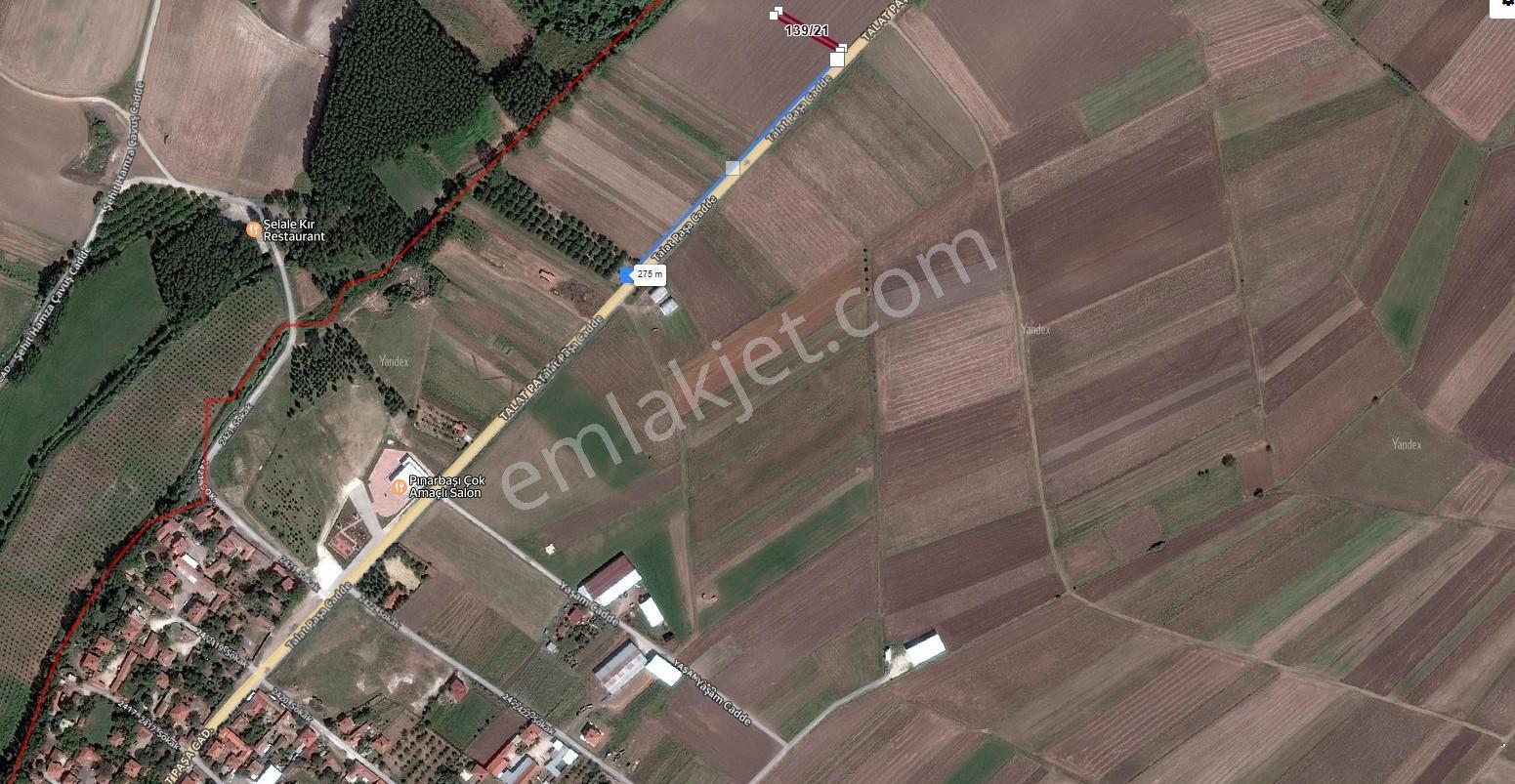 Ergene Pınarbaşı Mah. Asfalt Cephe 400m2 Satılık Elma Bahçesi - Görsel 5