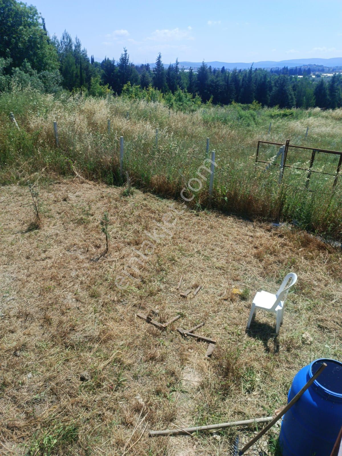 322 Metre Kare Hisse Tapulu Tarla - Görsel 12