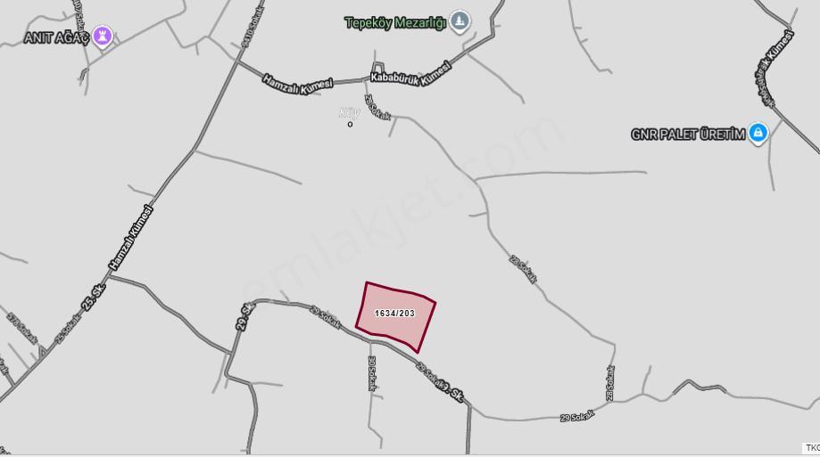 Akgün Kurumsal'dan Tekkeköy Kahyalı'da Satılık 31,000m2 Tarla - Görsel 16