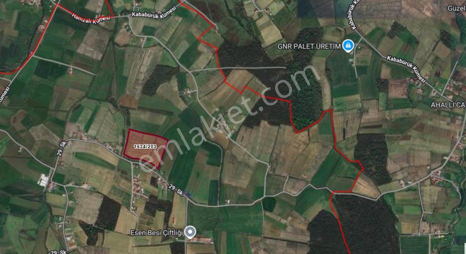 Akgün Kurumsal'dan Tekkeköy Kahyalı'da Satılık 31,000m2 Tarla - Görsel 30