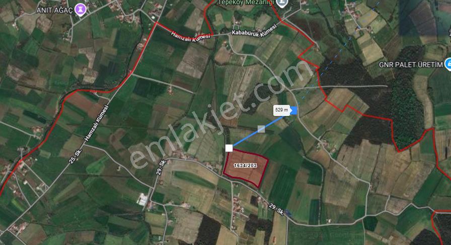 Akgün Kurumsal'dan Tekkeköy Kahyalı'da Satılık 31,000m2 Tarla - Görsel 37