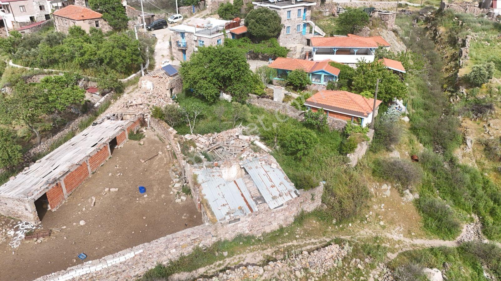 Asos Koyunevi Köyünde 286 M2 40/80 İmarlı Satılık Arsa