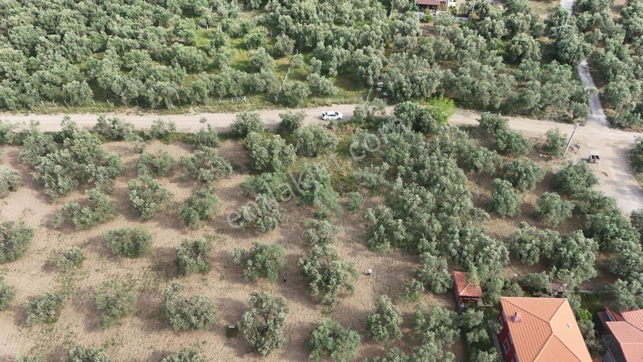Küçükkuyuda Satılık %20/40 İmarlı Satılık Arsa - Görsel 4