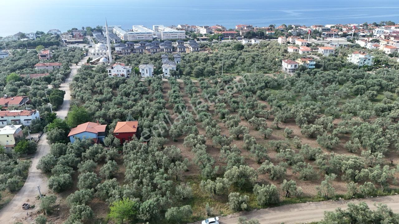 Küçükkuyuda Satılık %20/40 İmarlı Satılık Arsa - Görsel 2