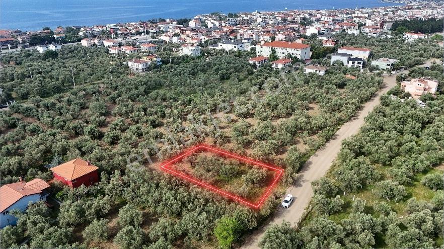 Küçükkuyuda Satılık %20/40 İmarlı Satılık Arsa