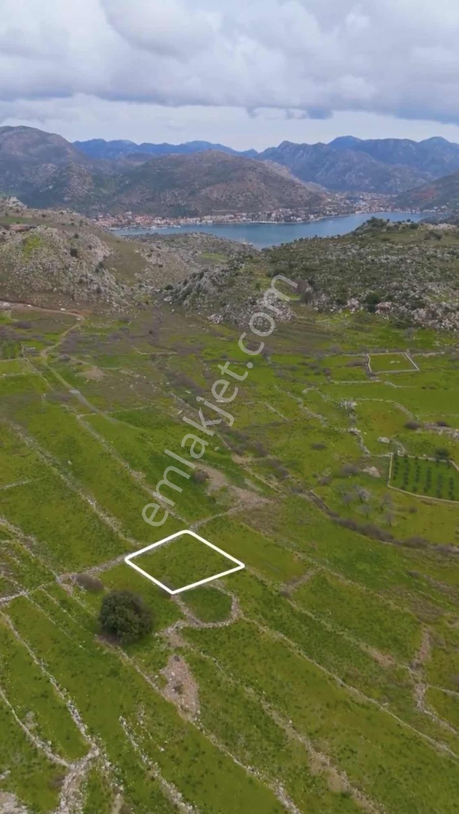 Marmaris Bozburunda Resmi Yolu Olan Tarla - Görsel 3