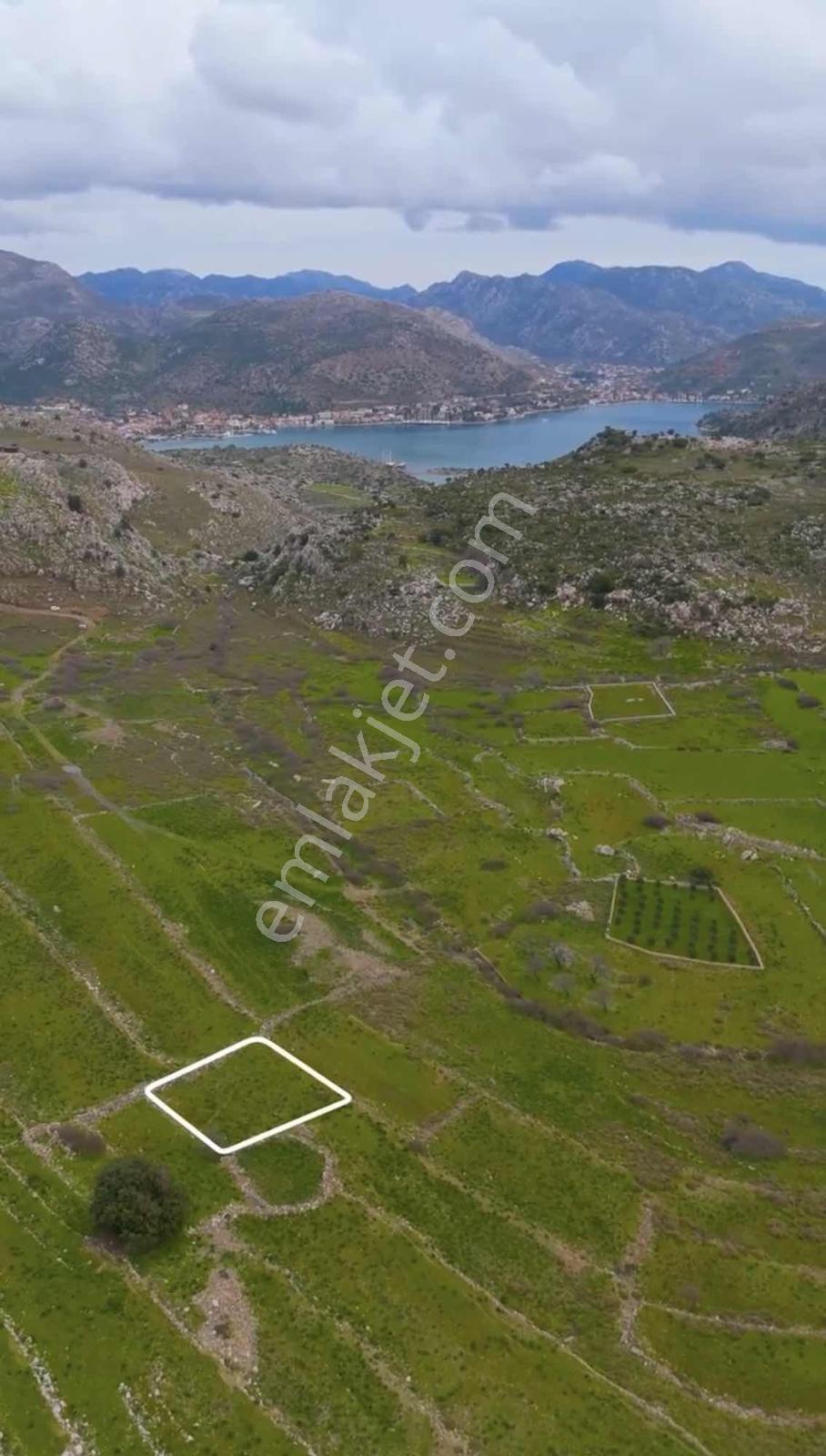 Marmaris Bozburunda Resmi Yolu Olan Tarla - Görsel 4