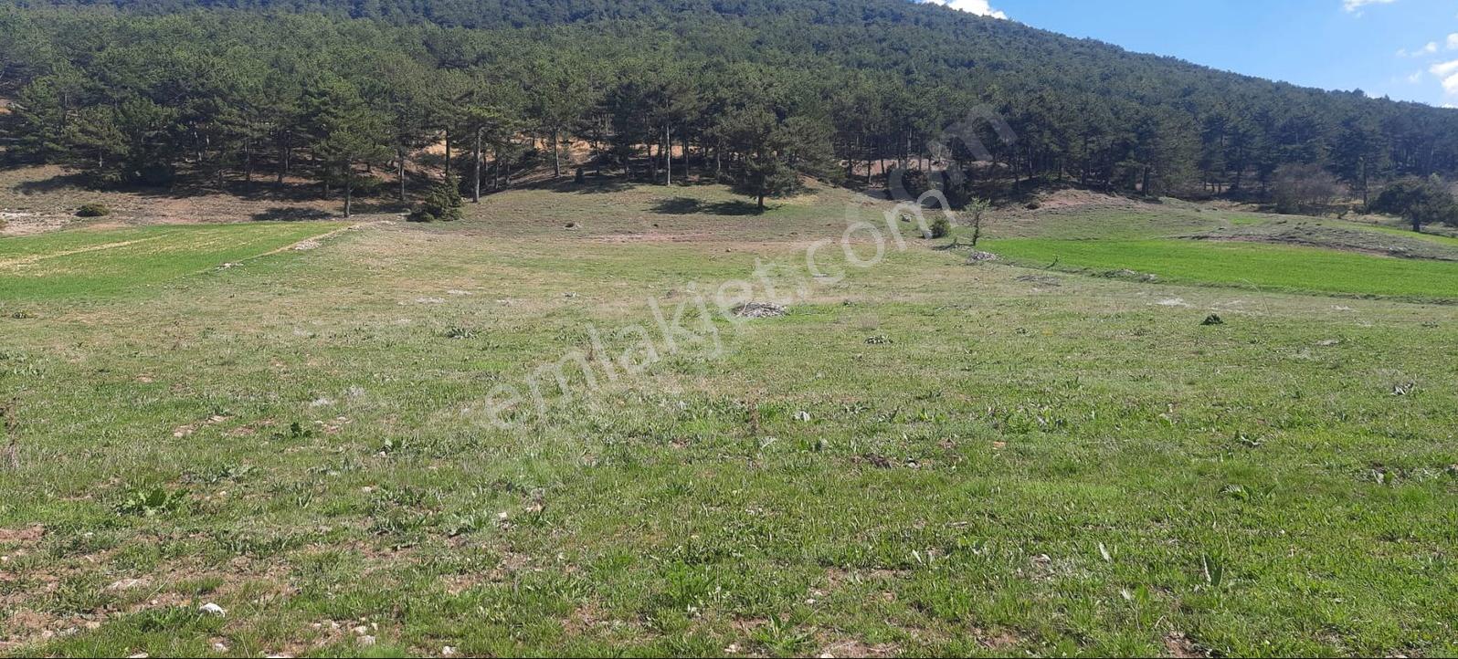 Recep Ümit Emlak'tan Seyitgazi Şükranlıda Müstakil Tapulu 4 Dön. Satılık Tarla - Görsel 14
