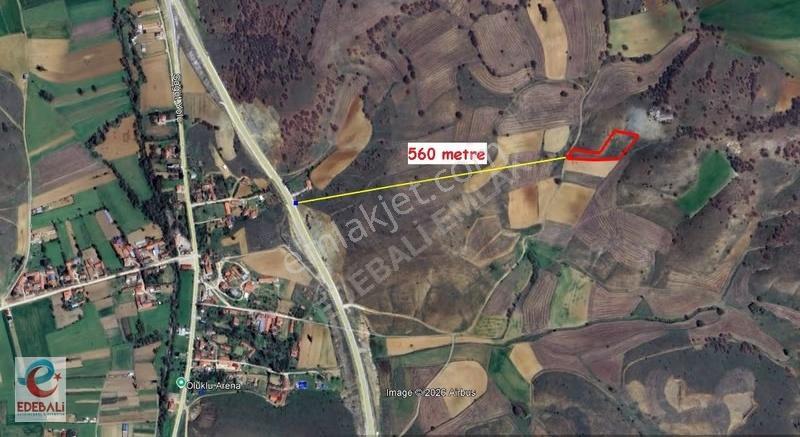 Söğüt Olukluda 3.402 M2 Yollu Fırsat Tarla Araç Takaslı - Görsel 10