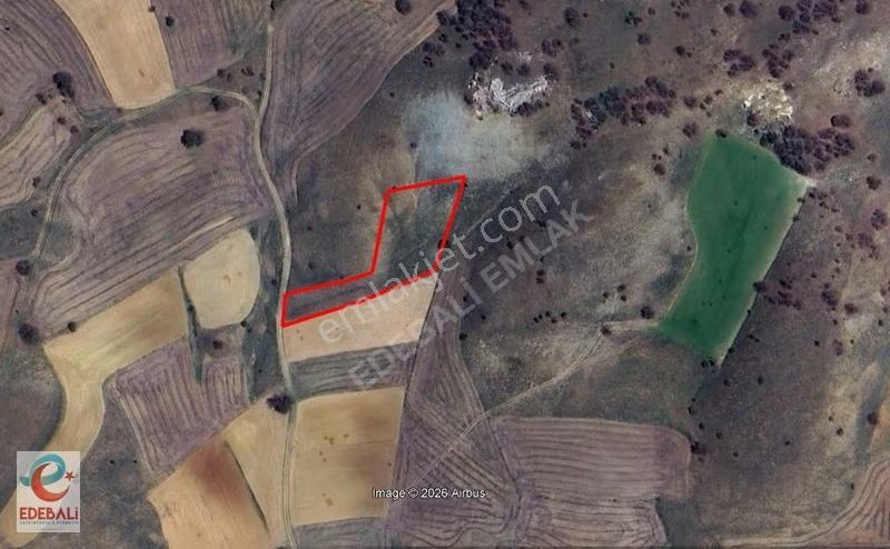 Söğüt Olukluda 3.402 M2 Yollu Fırsat Tarla Araç Takaslı - Görsel 9