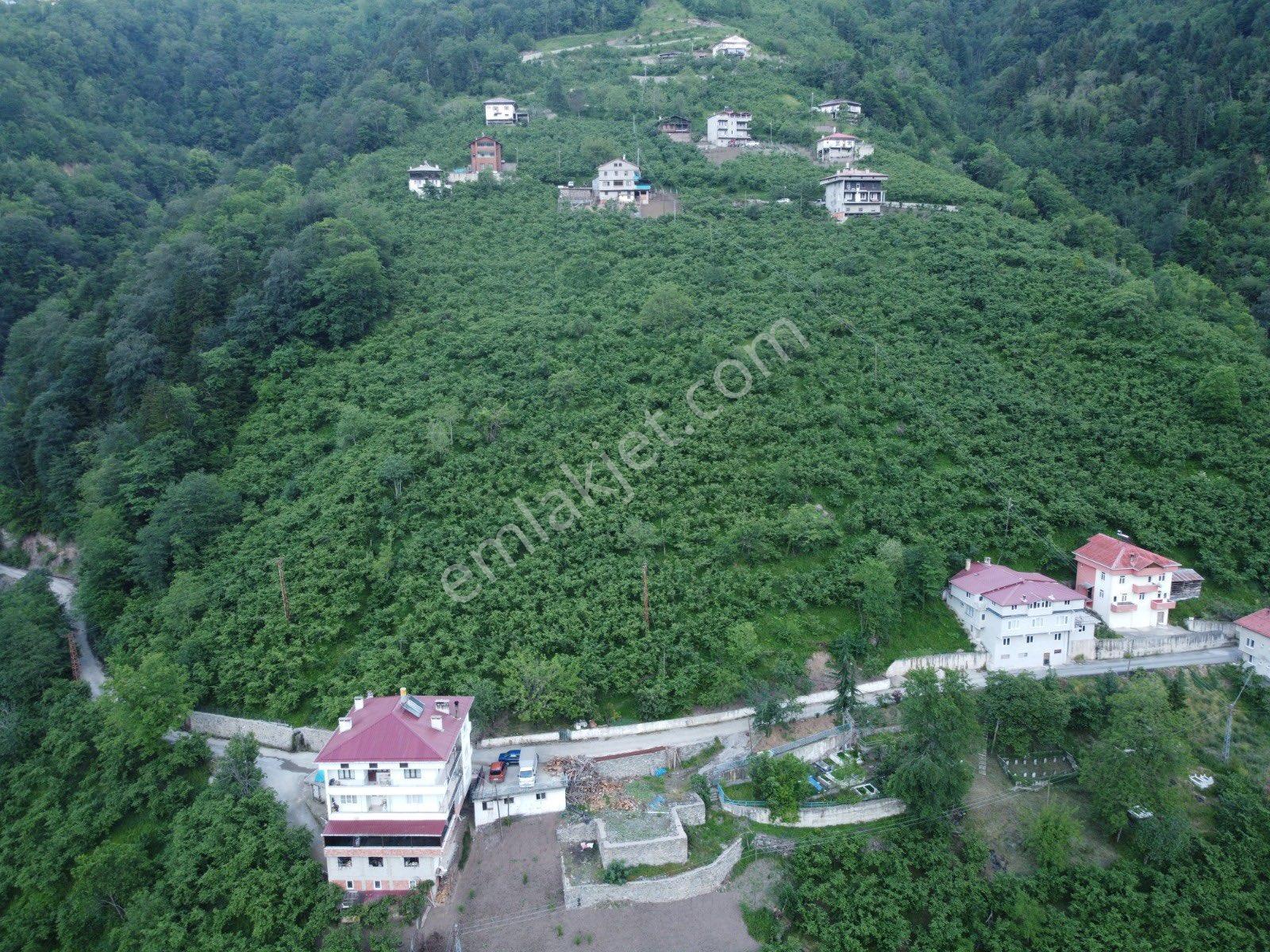 Yalı Gayrimenkul'den Çaykara Uzungöl Yolu Üzerinde 2700 M2 Arsa - Görsel 3