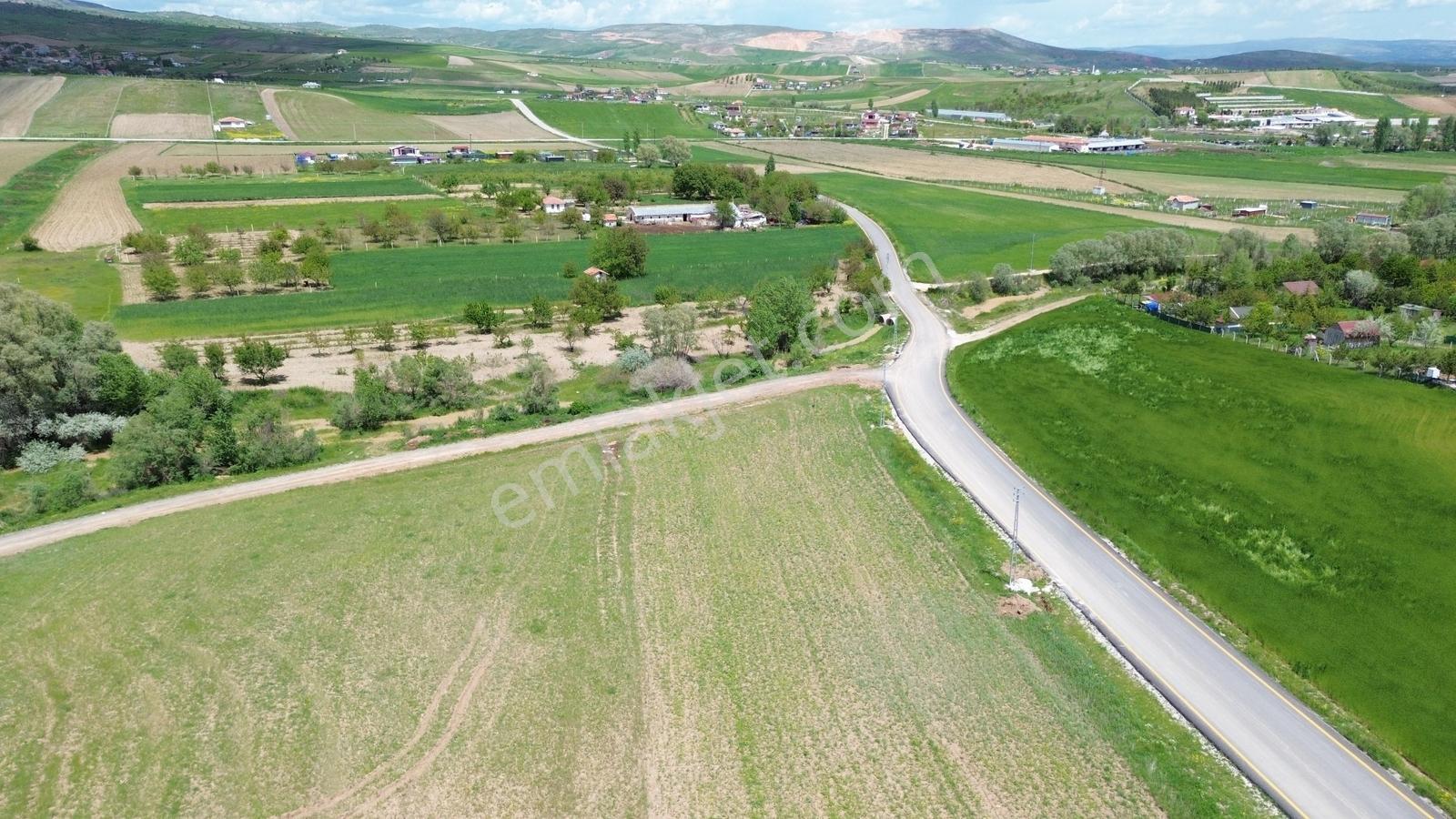 *sirkelide Yola İkinci Parsel Tek Tapu 750m2 Satılık İmarlı Arsa - Görsel 4