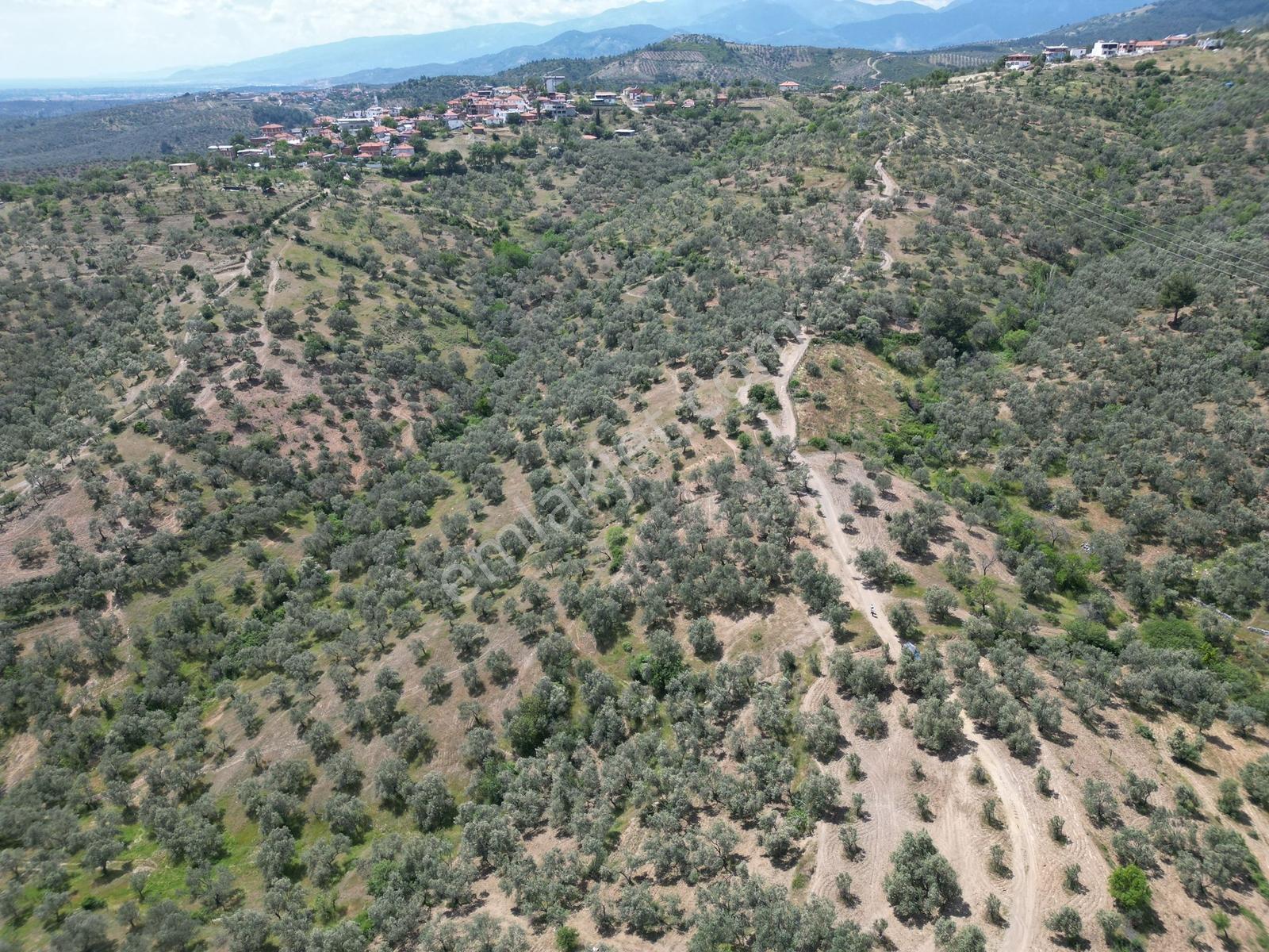 Parla'dan Yatırım Fırsatı Yola 21m Cepheli 1144 M2 Zeytinlik - Görsel 26