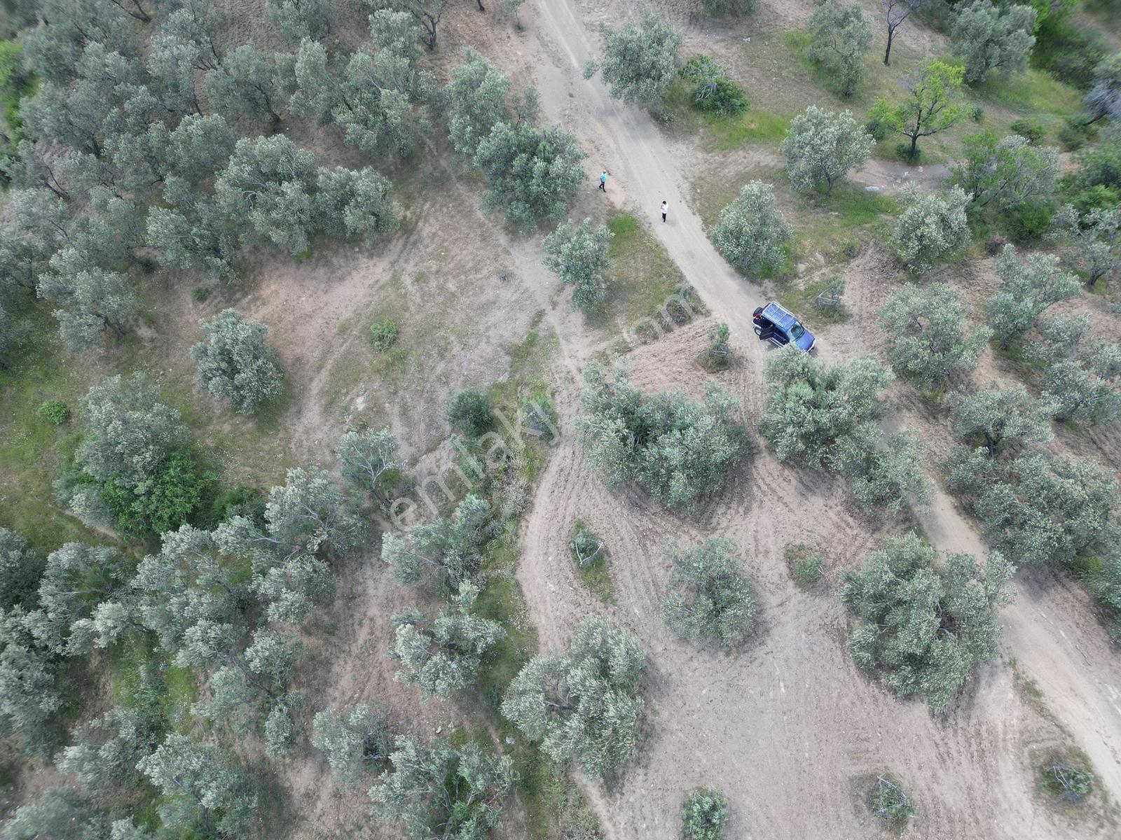 Parla'dan Yatırım Fırsatı Yola 21m Cepheli 1144 M2 Zeytinlik - Görsel 23