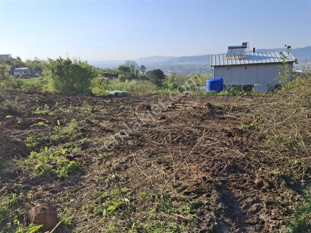 Yıldırım Hamamlıkızık'ta 4970 M2 Satılık Köy Merkezinde Bahçe Bağ - Görsel 8