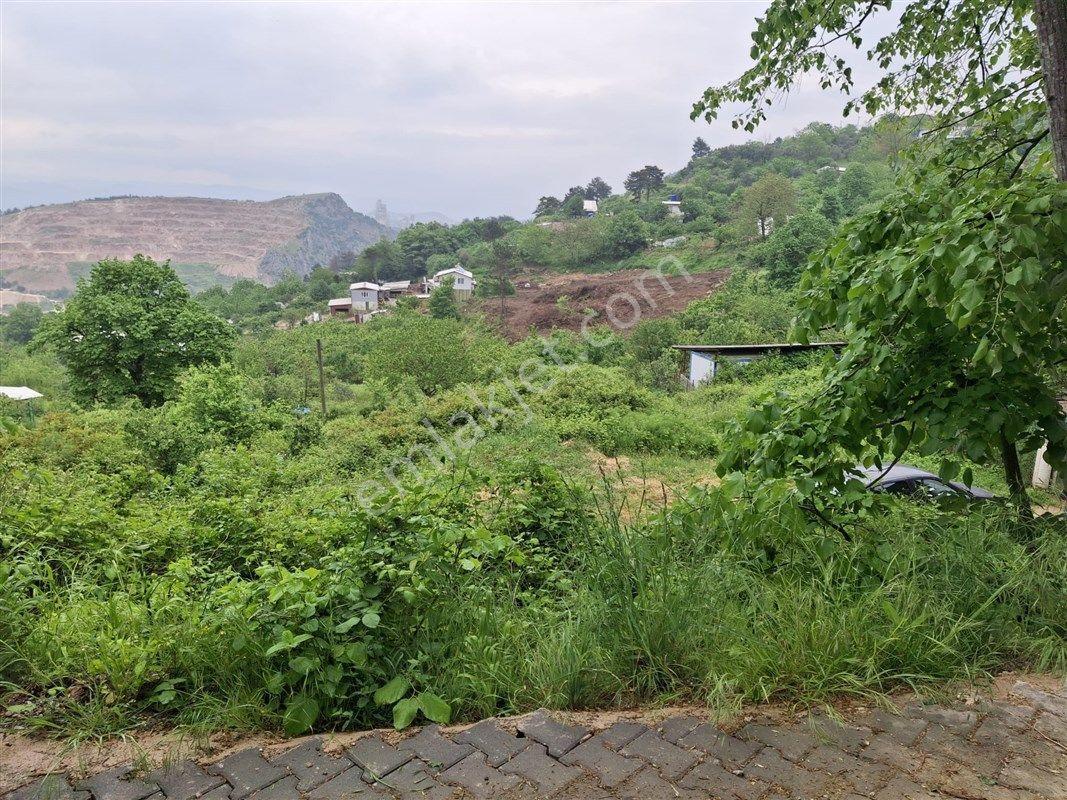 Yıldırım Hamamlıkızık'ta 4970 M2 Satılık Köy Merkezinde Bahçe Bağ - Görsel 13