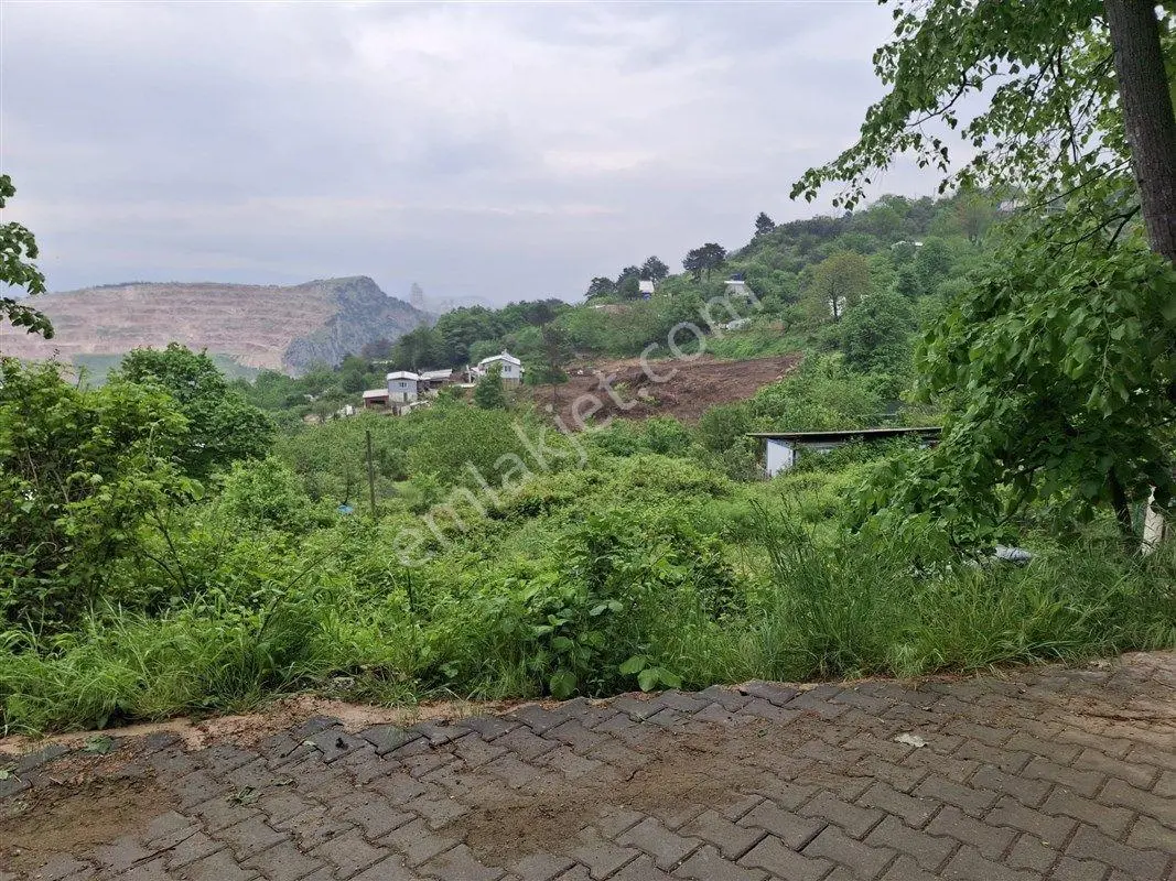 Yıldırım Hamamlıkızık'ta 4970 M2 Satılık Köy Merkezinde Bahçe Bağ - Görsel 2