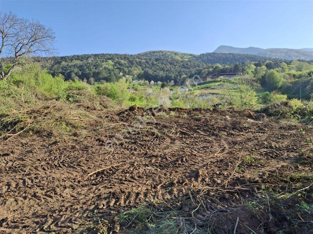 Yıldırım Hamamlıkızık'ta 4970 M2 Satılık Köy Merkezinde Bahçe Bağ - Görsel 15