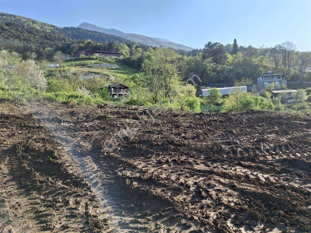 Yıldırım Hamamlıkızık'ta 4970 M2 Satılık Köy Merkezinde Bahçe Bağ - Görsel 5