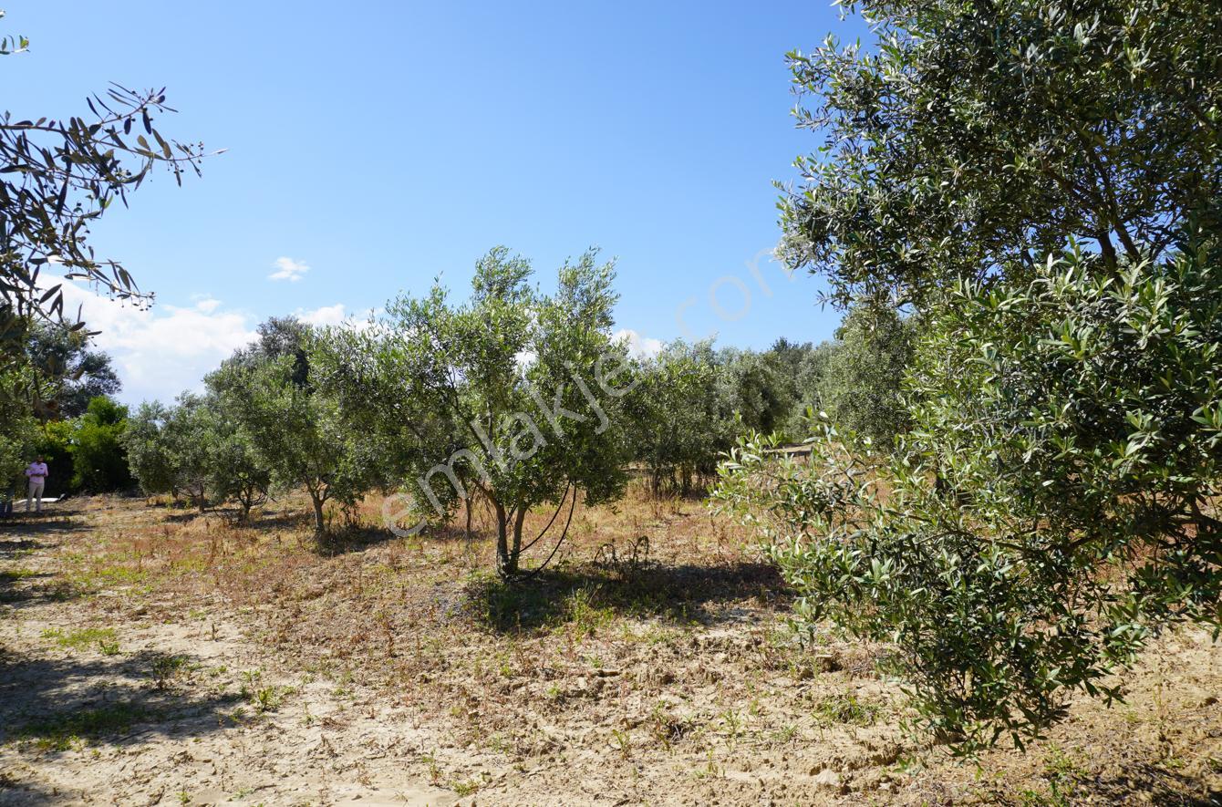 Manavgat Taşağıl Bölgesinde Satılık 7.188 M² Arazi - Görsel 3