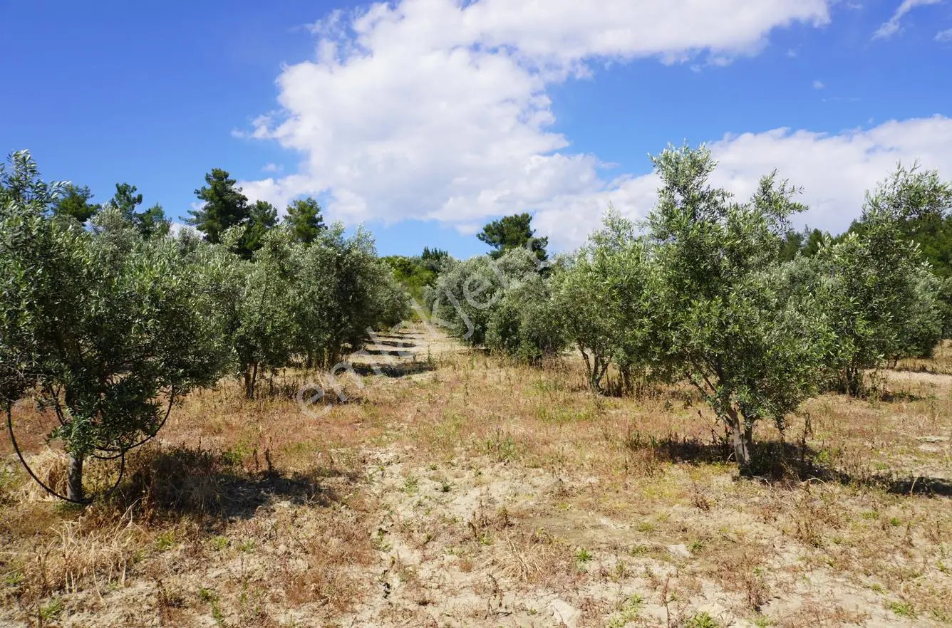 Manavgat Taşağıl Bölgesinde Satılık 7.188 M² Arazi - Görsel 5