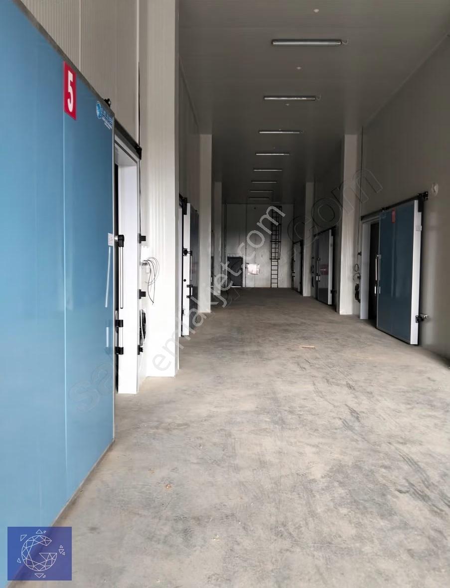 Orhangazi'de Ana Yola Cephe 2.566 M² Soğuk Hava Deposu - Görsel 4