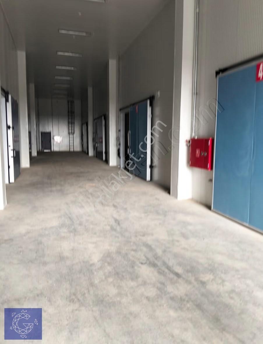 Orhangazi'de Ana Yola Cephe 2.566 M² Soğuk Hava Deposu - Görsel 9