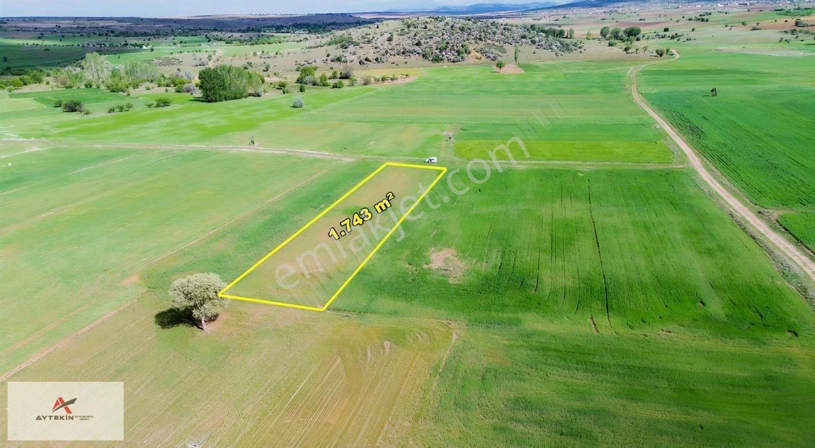 Akören Tülce Mahallesinde 1.743 M² Müstakil Tapulu Tarla - Görsel 9