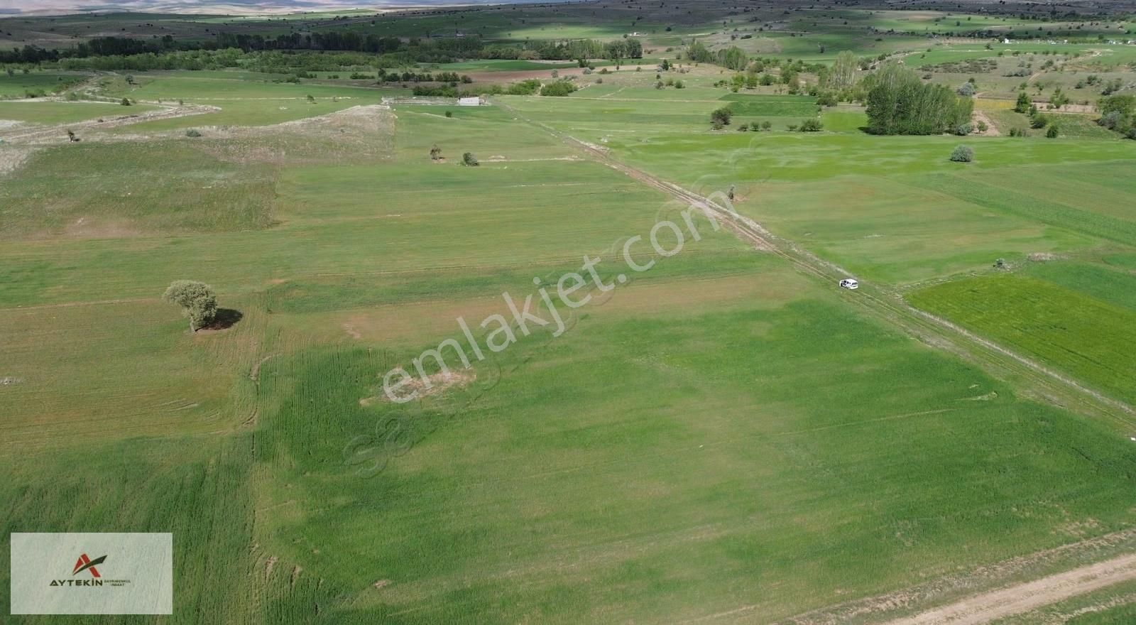 Akören Tülce Mahallesinde 1.743 M² Müstakil Tapulu Tarla - Görsel 2