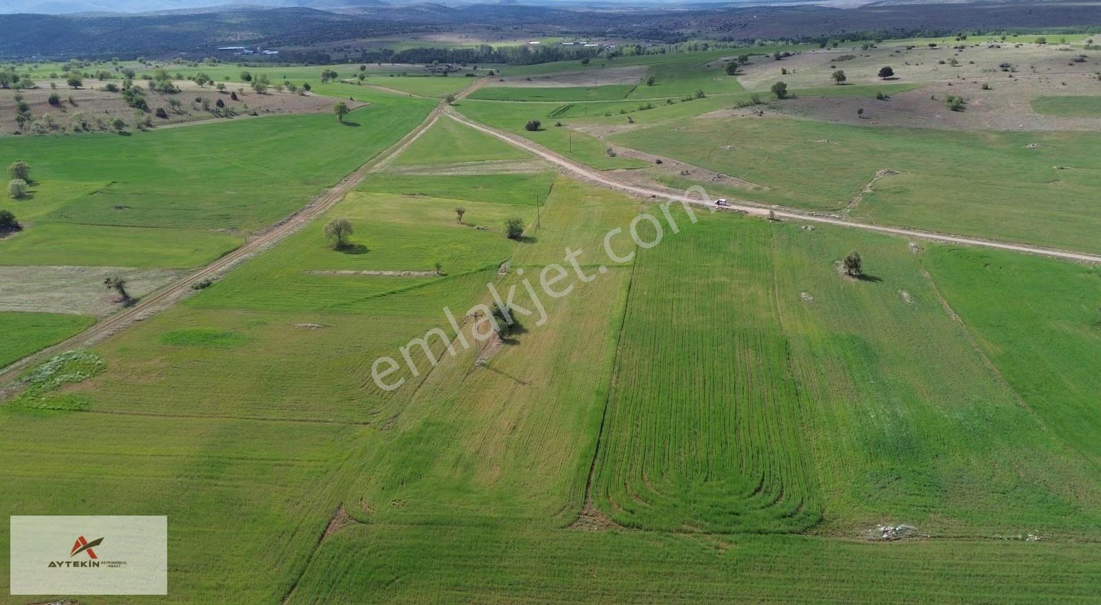 Akören Tülce Mahallesinde 5.944 M² Müstakil Tapulu Tarla