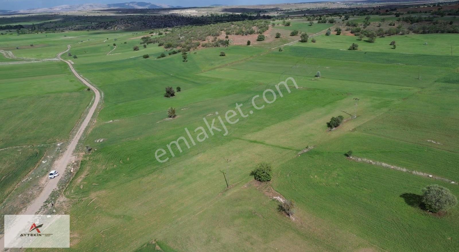 Akören Tülce Mahallesinde 5.944 M² Müstakil Tapulu Tarla - Görsel 6