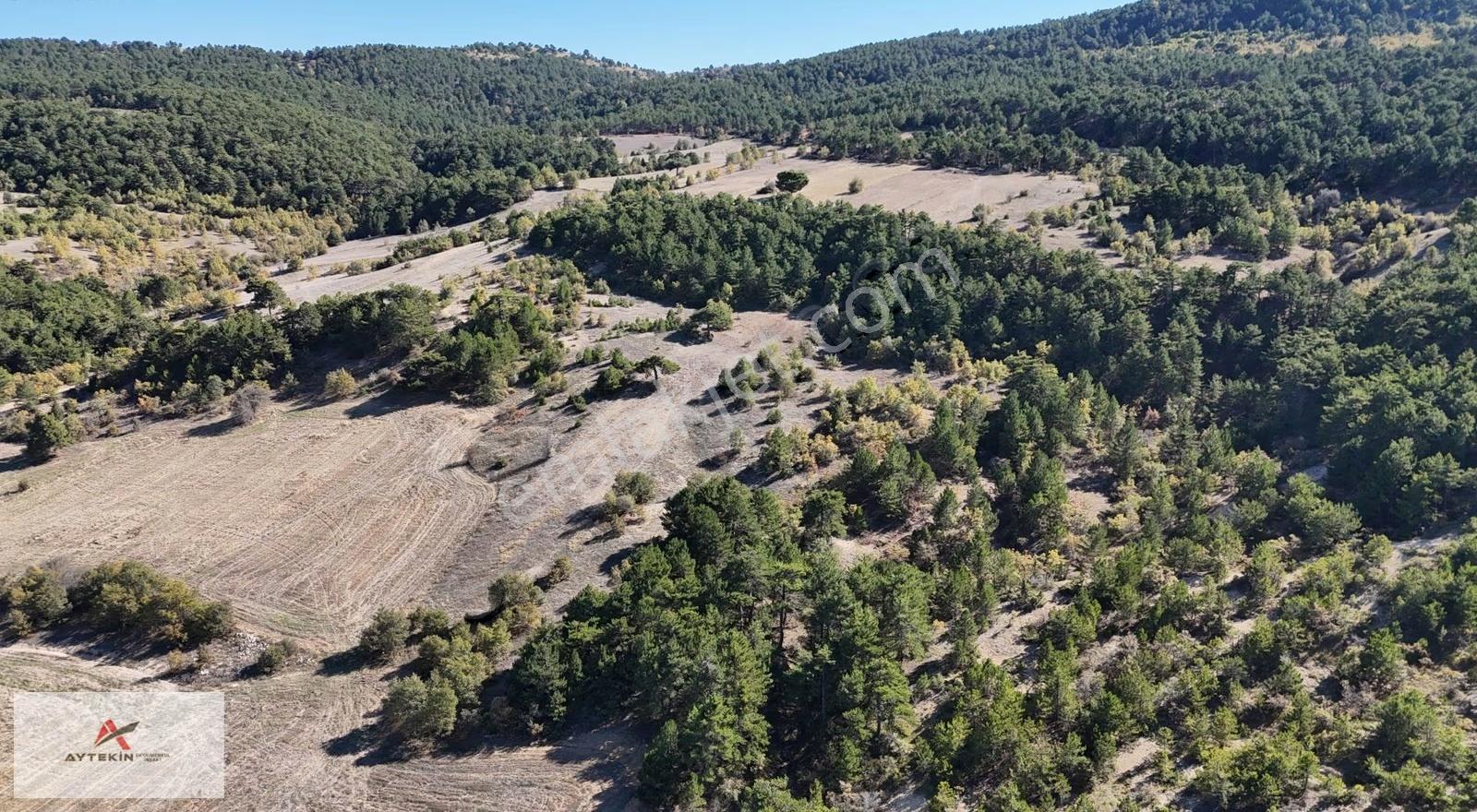 Ilgın Balkı Mahallesinde 6.186 M² Müstakil Tapulu Tarla - Görsel 3