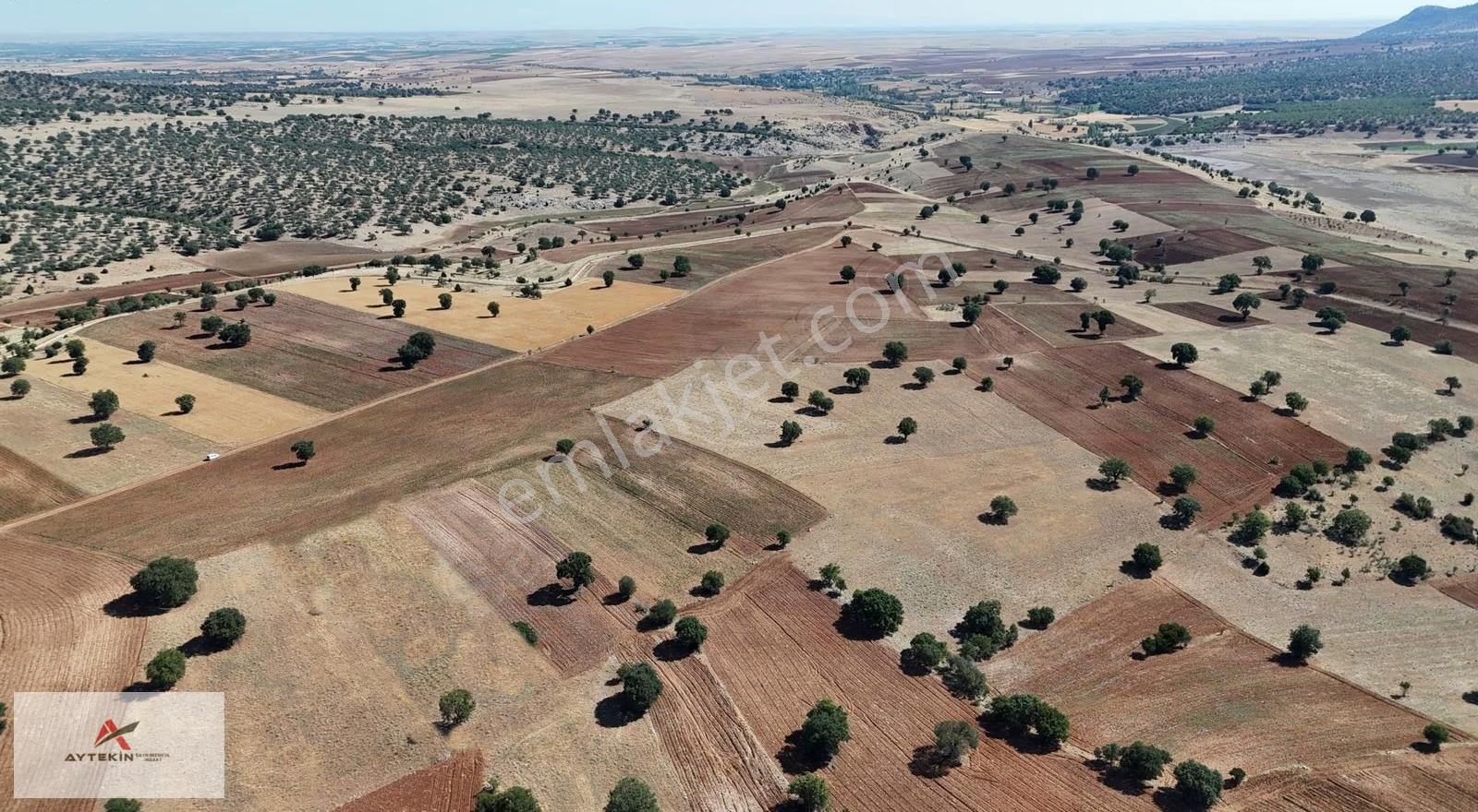 Konya Güneysınır Kurukavak Mahallesinde 3.463 M² Müstakil Tarla