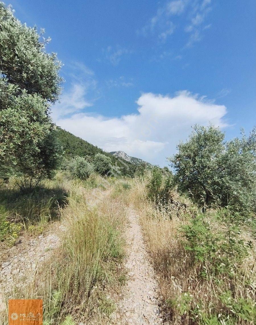 Akbük Koyu'na Komşu, 1.393 M² Yatırımlık Müstakil Parsel - Görsel 4