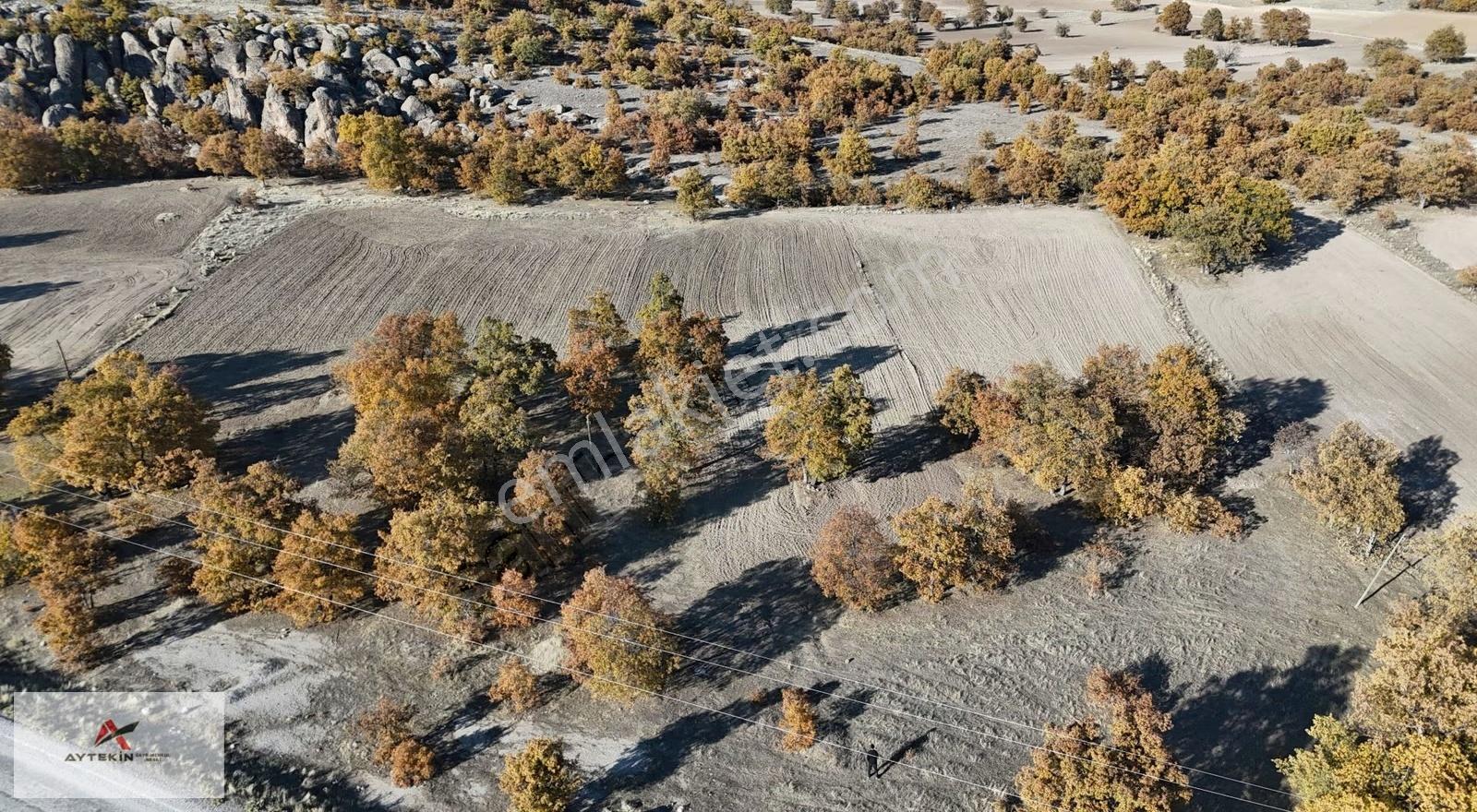 Konya Meram Kumralı Mahallesinde 2.540 M² Müstakil Tapulu Tarla - Görsel 3