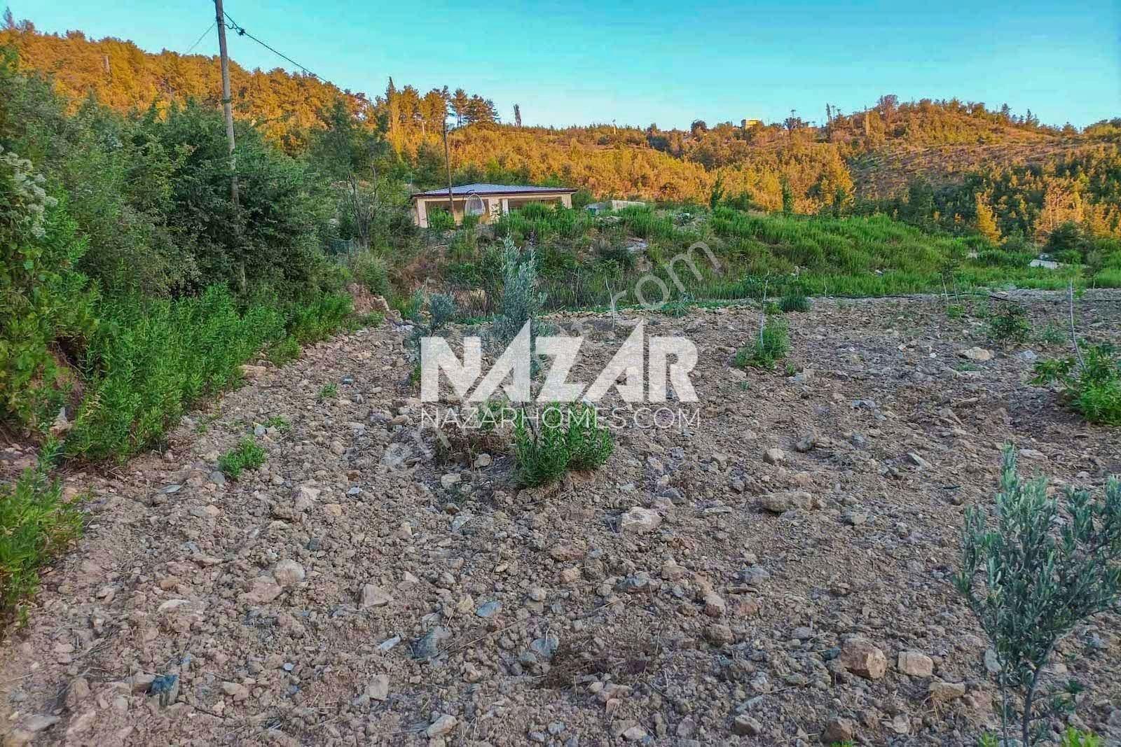 Alanya Beldibi Köyü’nde Satılık 4.251 M2 Tarla Ve Müstakil Ev - Görsel 20