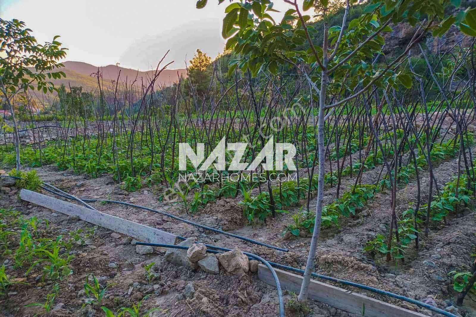 Alanya Beldibi Köyü’nde Satılık 4.251 M2 Tarla Ve Müstakil Ev - Görsel 21