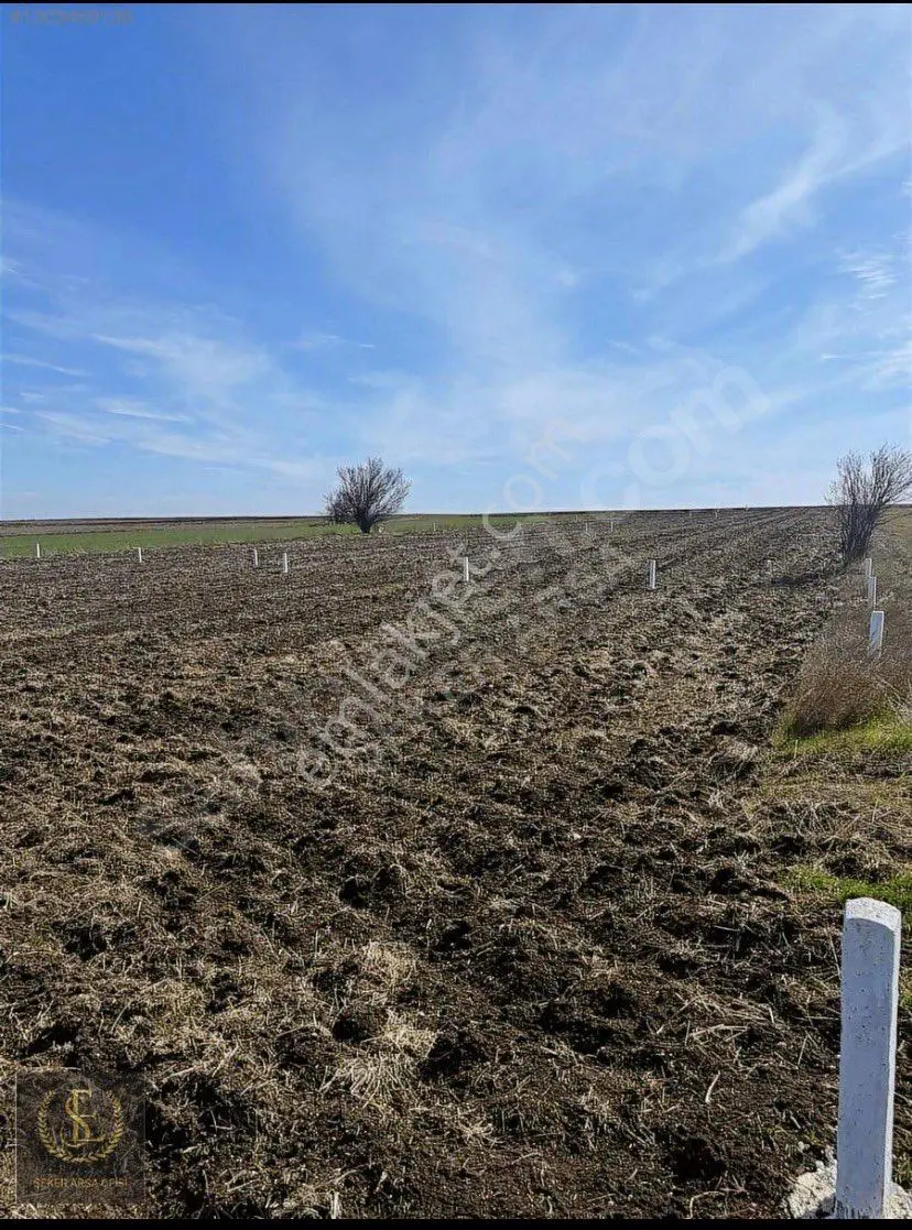 Tekirdağ Saray Sofular 282m2